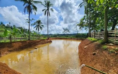DSWD completes over 480 LAWA, BINHI projects in E. Visayas.